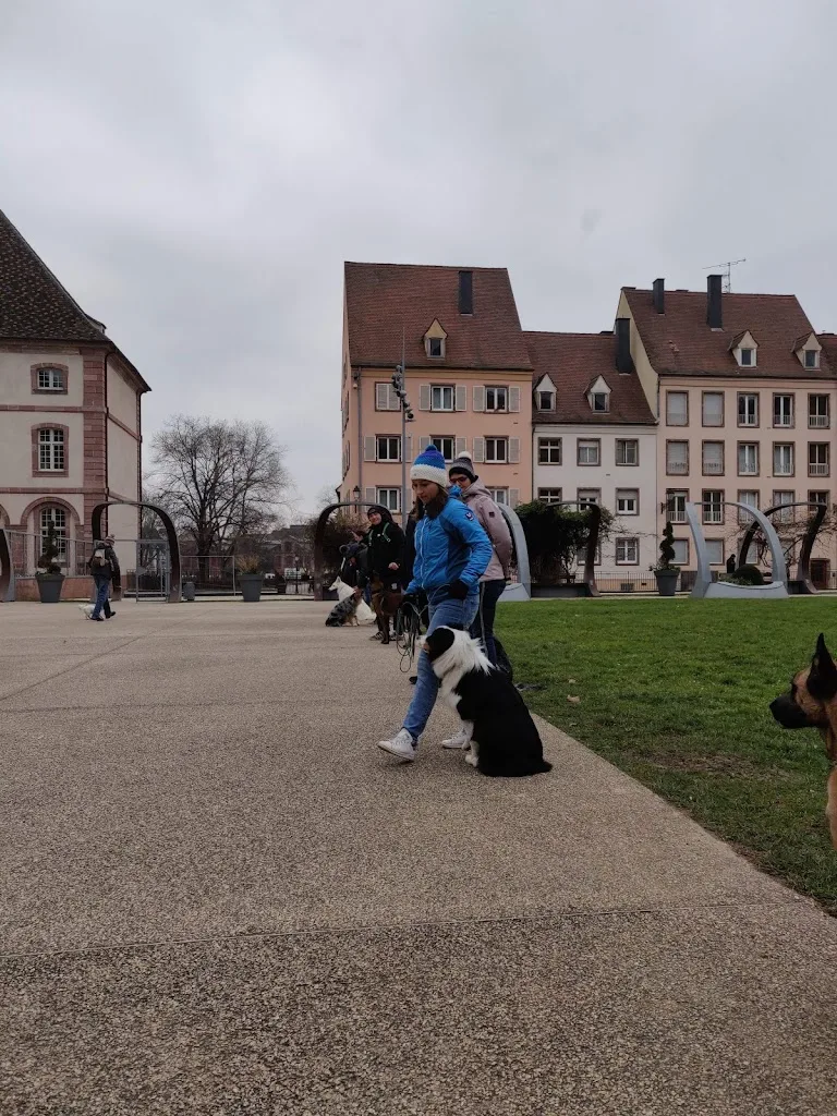Education Centre Alsace - Yannick Masson - photo 1