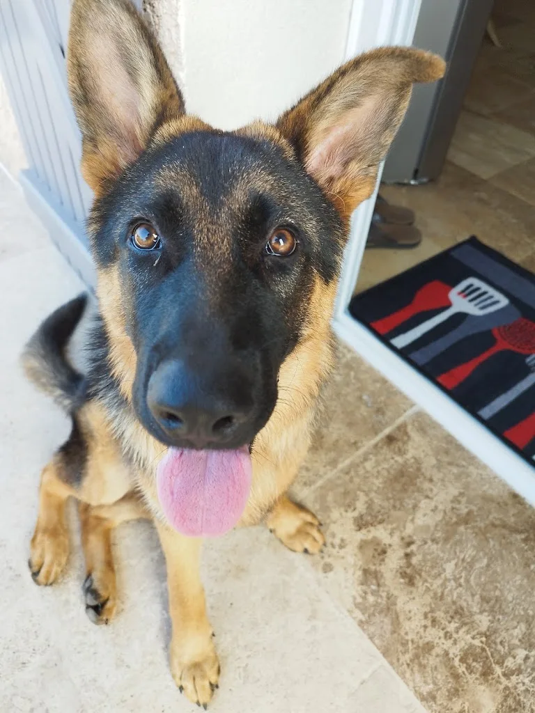 Mon Loup - photo 2