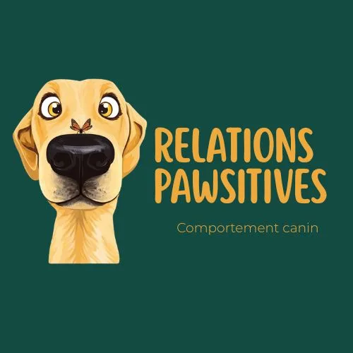 Relations Pawsitives - Comportementaliste Canin - photo 1