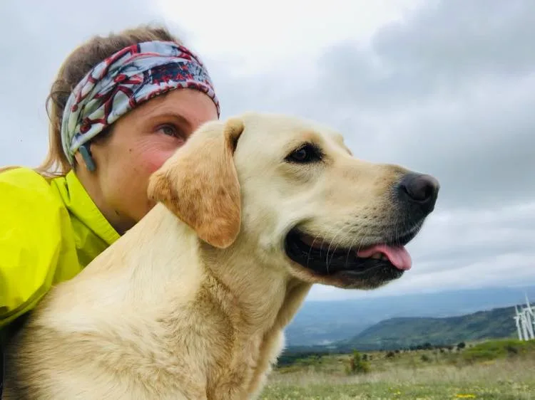 Relations Pawsitives - Comportementaliste Canin - photo 4