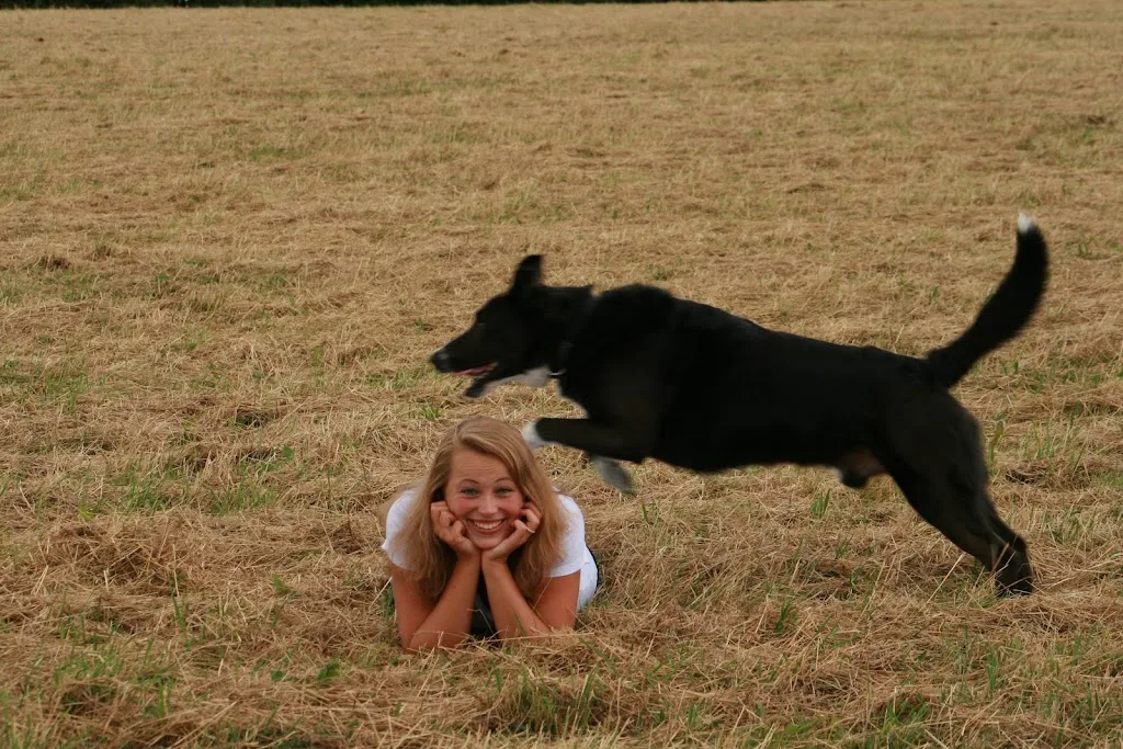 Happy Dogs and You - photo 2