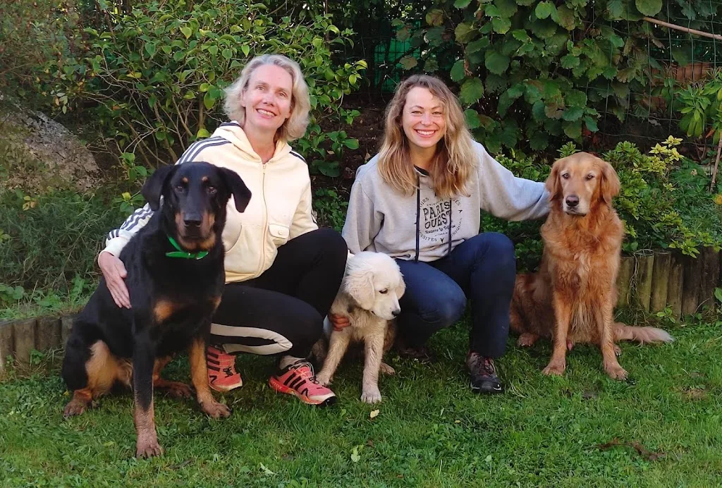 Happy Dogs and You - photo 3