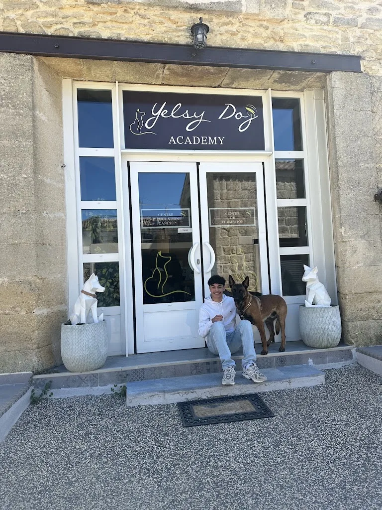 Yelsy Dog & Yelsy Dog Academy - photo 2