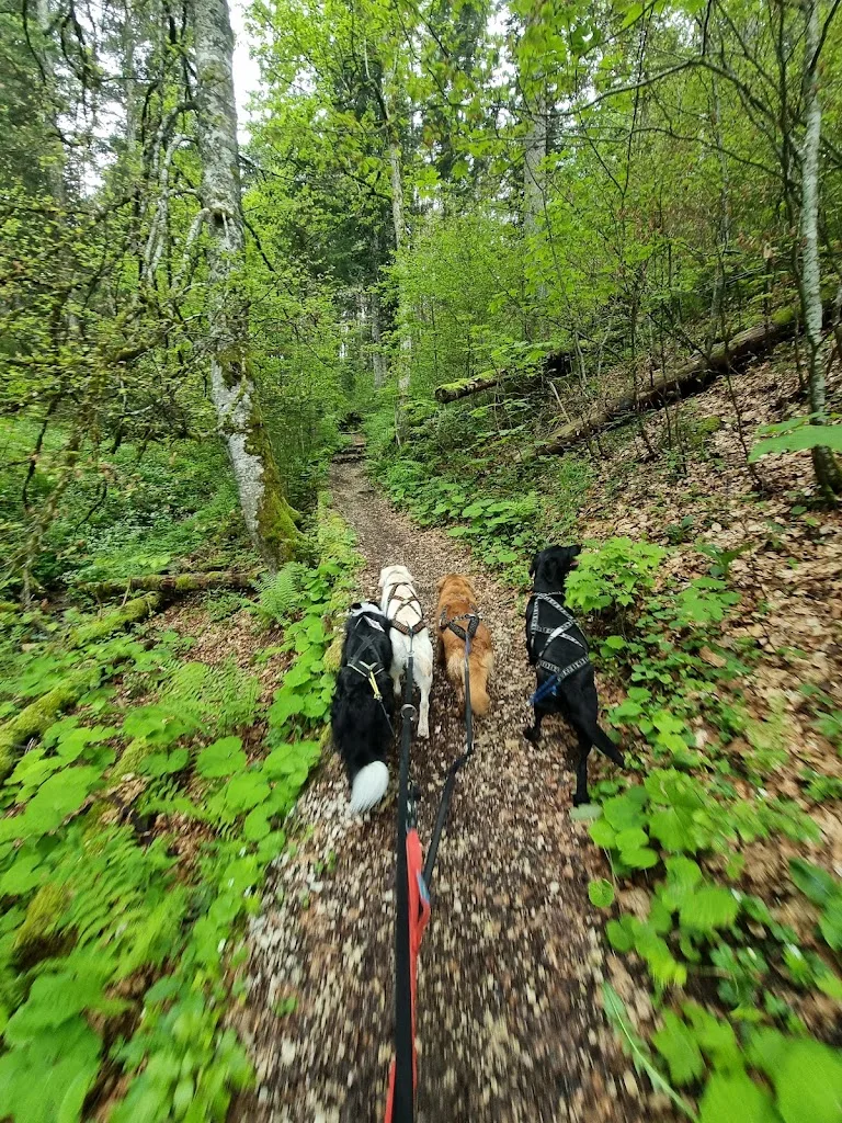 Team Améduc - photo 3