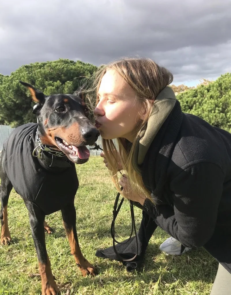 Mash Puppies - Éducateur canin / Promenades de chiens - photo 1