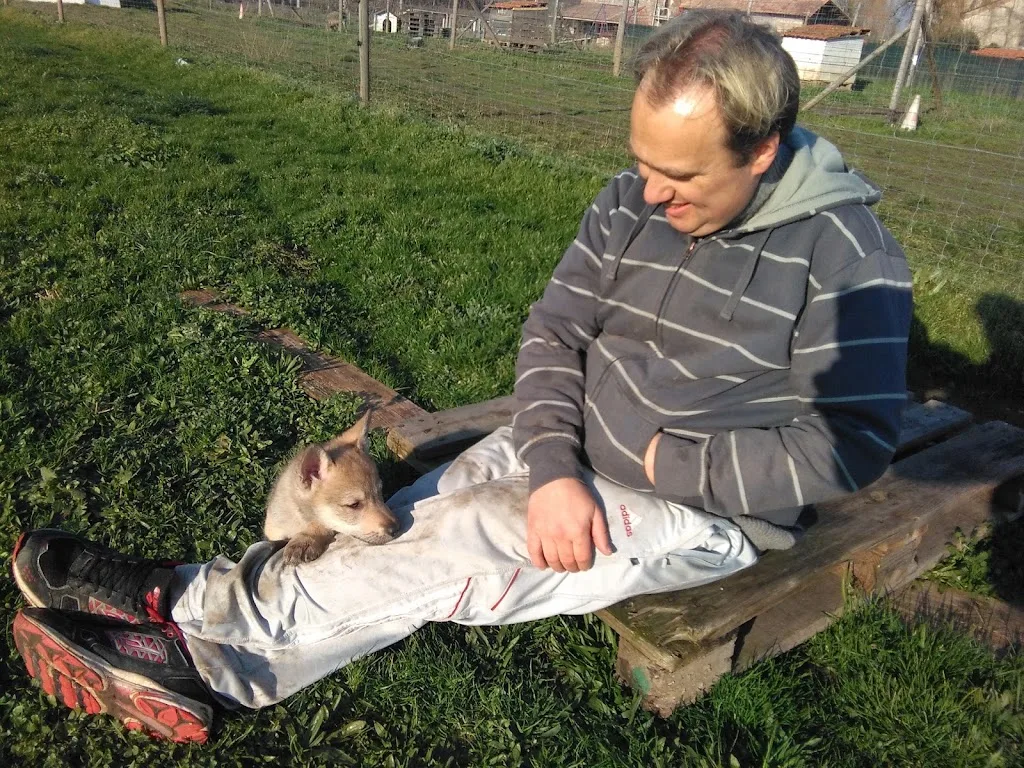 Elevage canin CDSC - photo 2