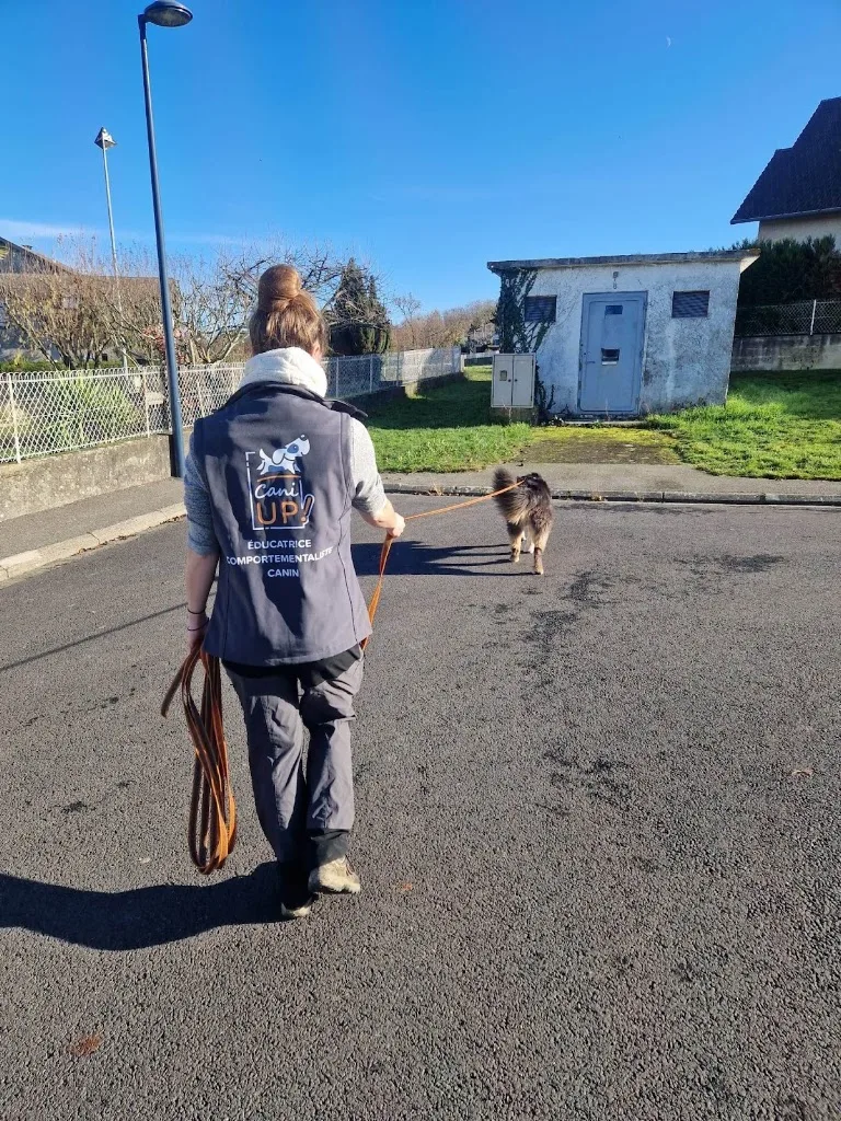 Cani Up ! - Éducateur Canin et Comportementaliste - Spécialiste du Chiot - à Tarbes, Lourdes et ses alentours (65) - photo 4