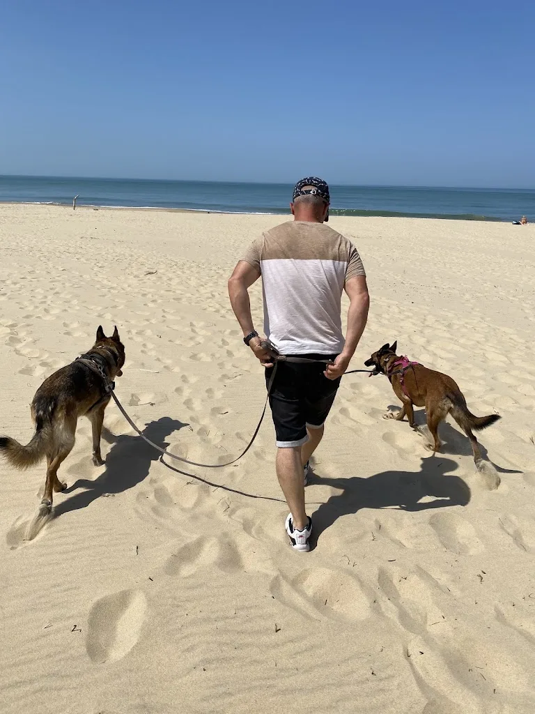 ChrisDog86 - Educateur canin Bayonne - photo 4