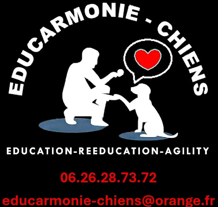 Educarmonie - Chiens - photo 2