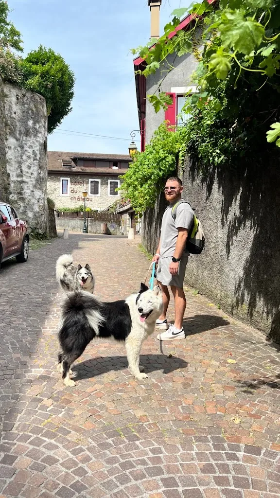 Quentin&Compagnons - photo 4