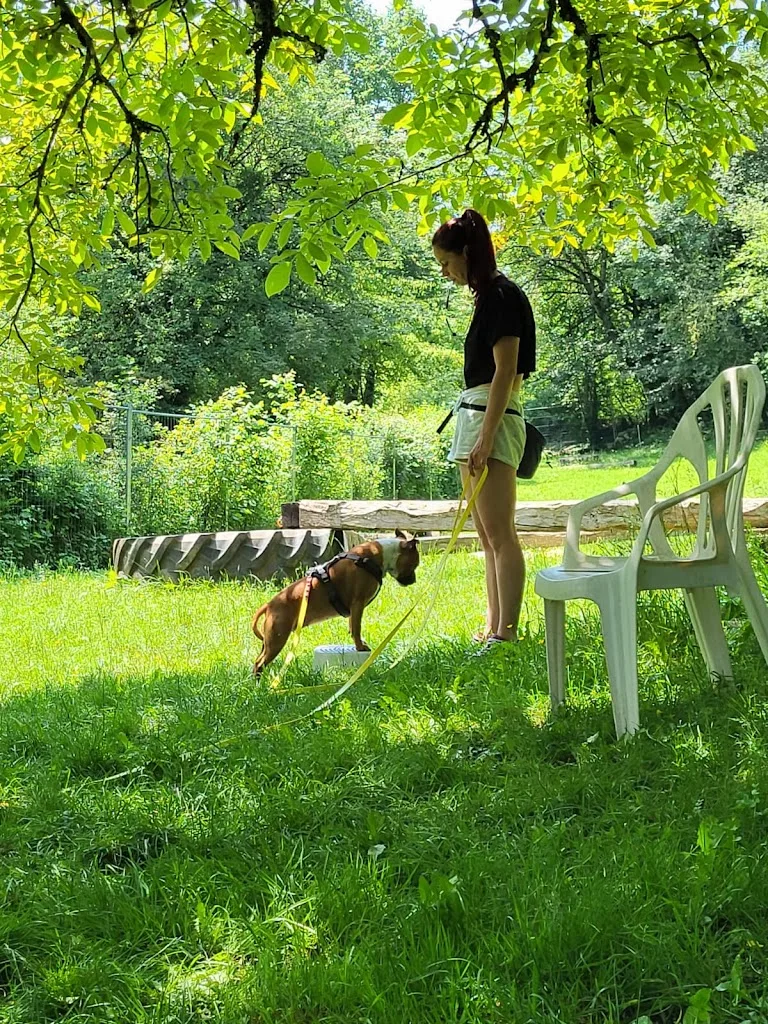 Canis Propice - photo 5
