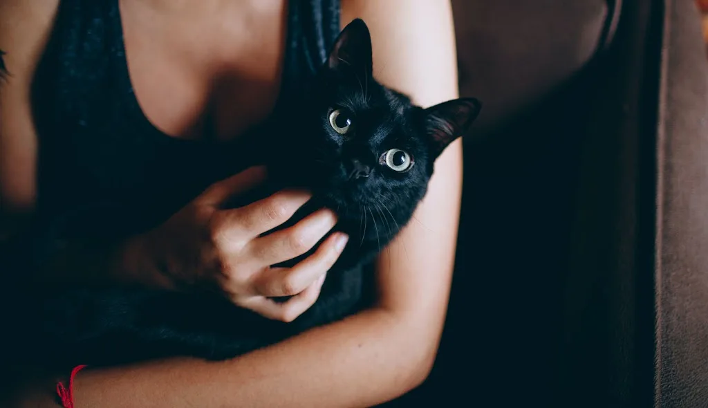 AnimalEasy - photo 2