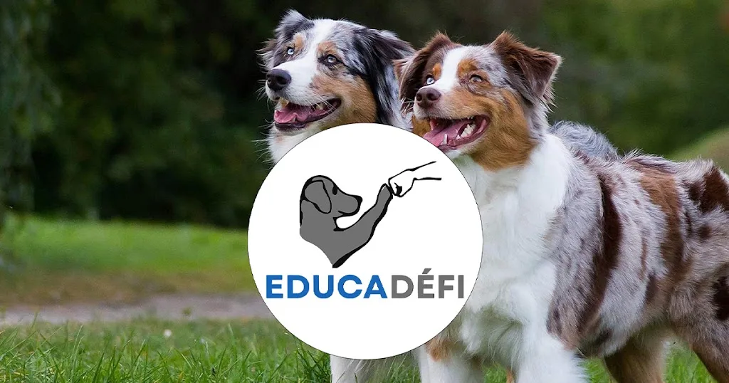 Educ@défi - photo 1