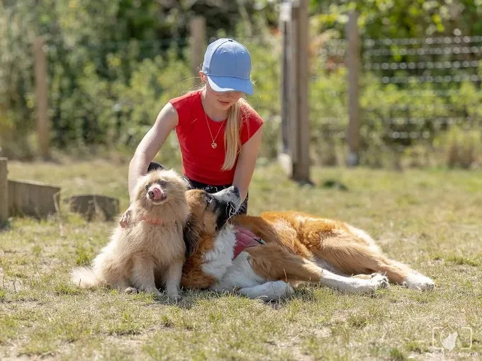 Pédadog by Stéph éducateur canin Wattignies - photo 3