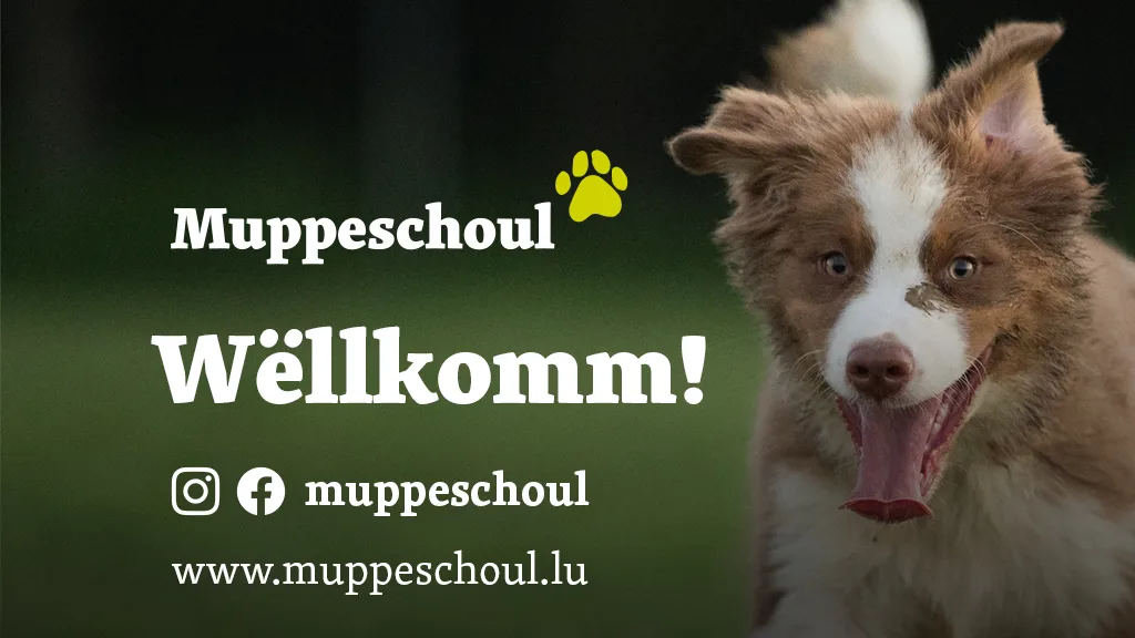 Muppeschoul - photo 5