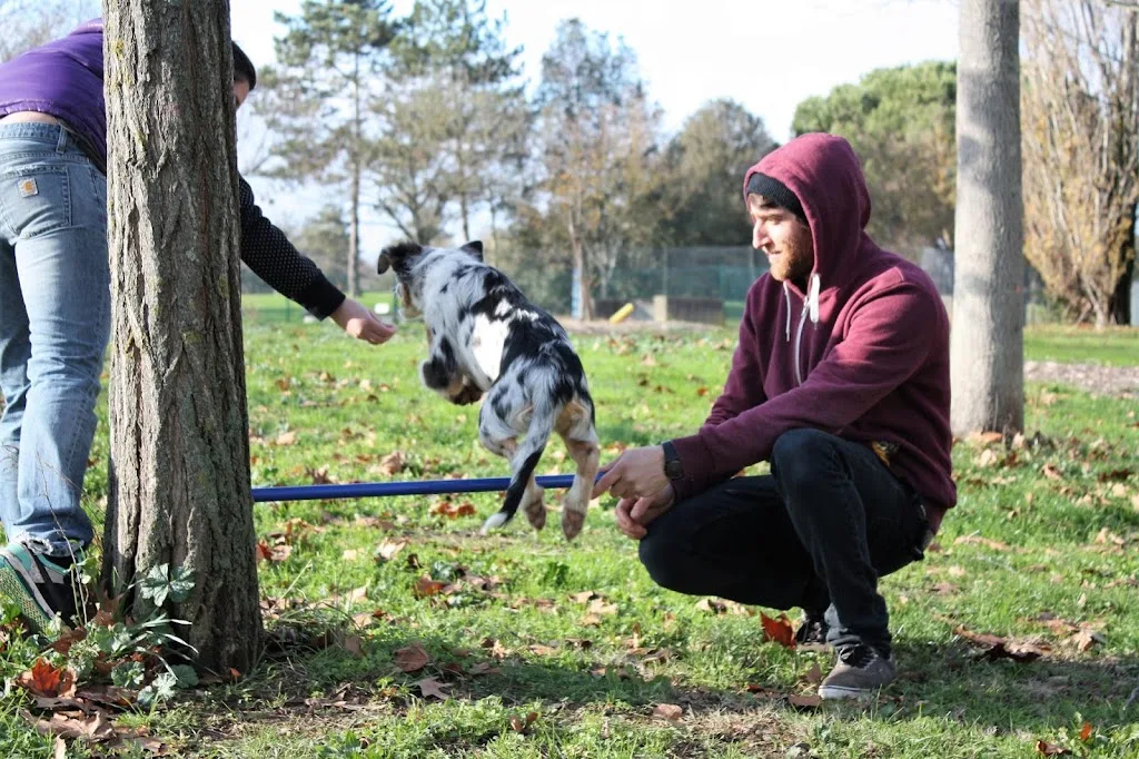 Anthony PAUL - Educateur canin comportementaliste - photo 2