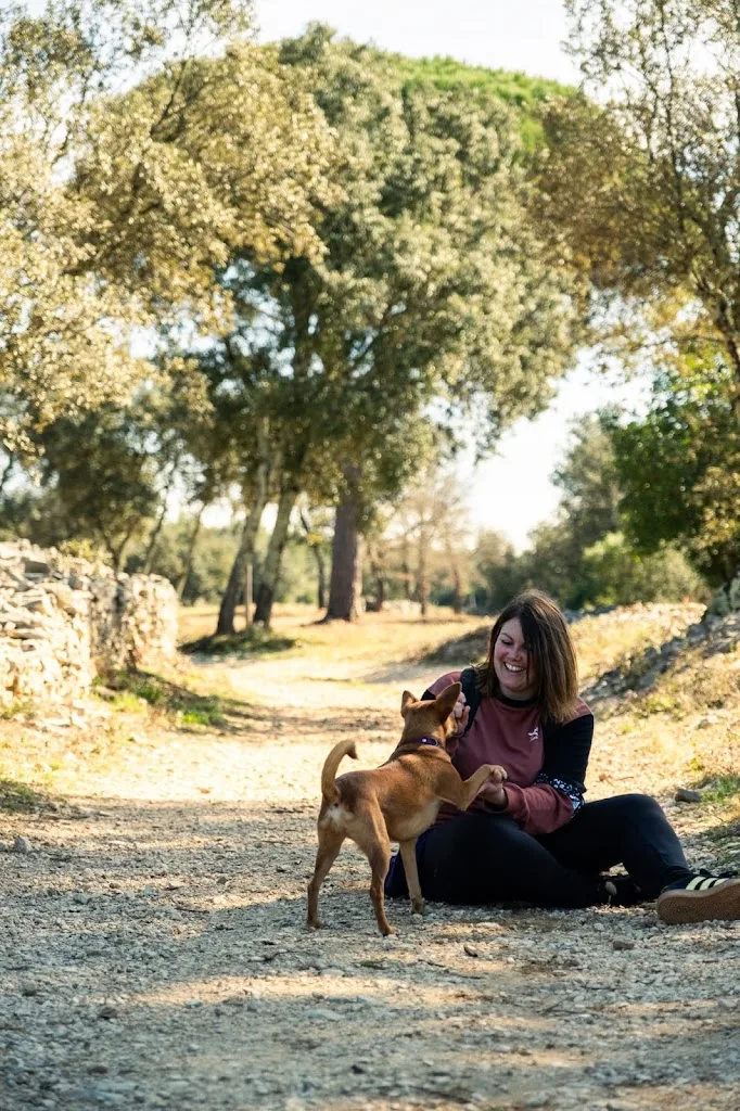 Truffe Complice – Éducateur canin & comportementaliste à Marguerittes (Gard) - photo 3