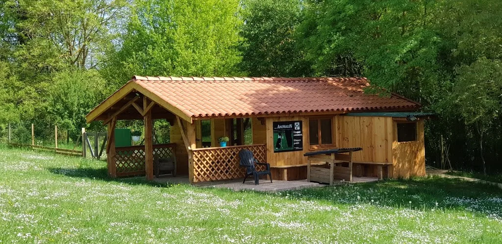 Centre Animalin - Education, formation et rééducation du chien - photo 3