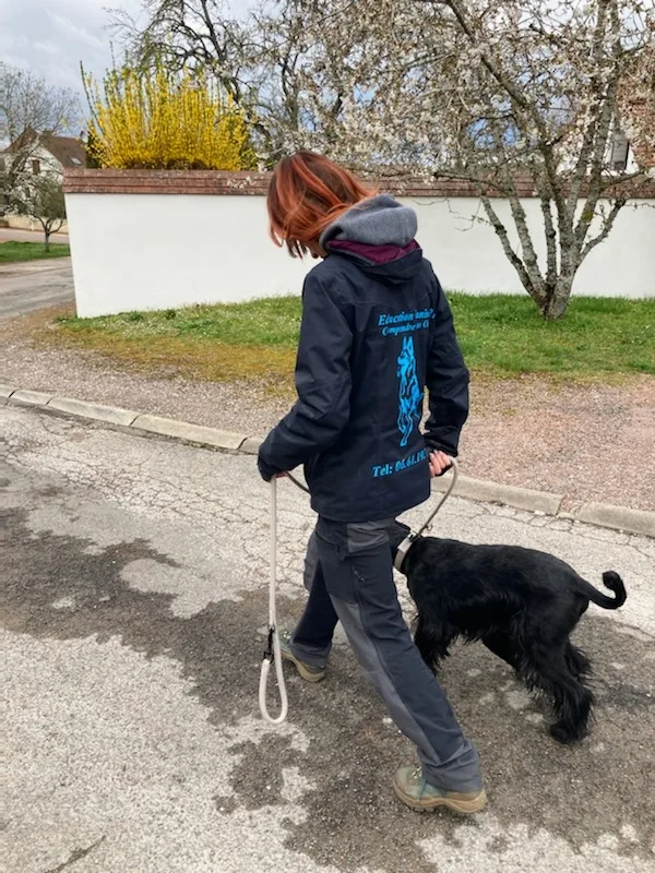 Educateur canin Comprendre son chien - photo 2