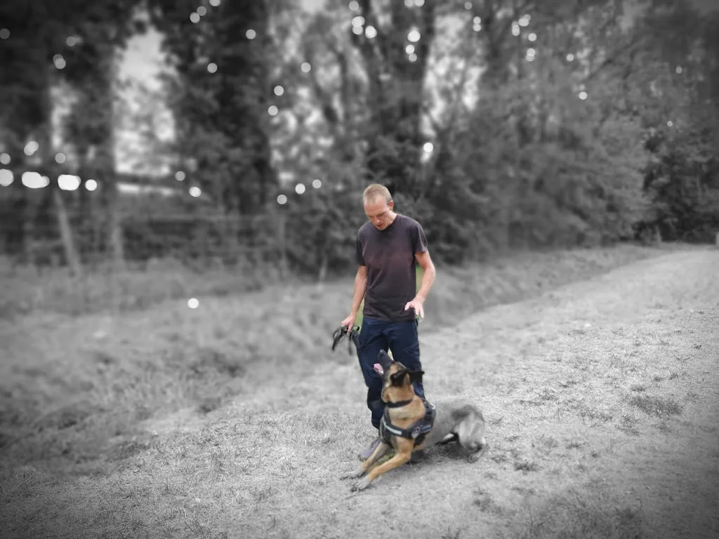 LES ANGES CANINS - photo 4