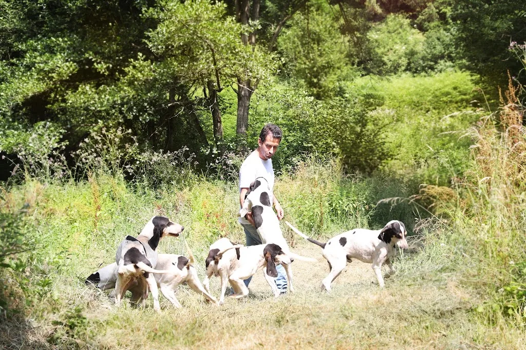 Domaine de Sordel - photo 1