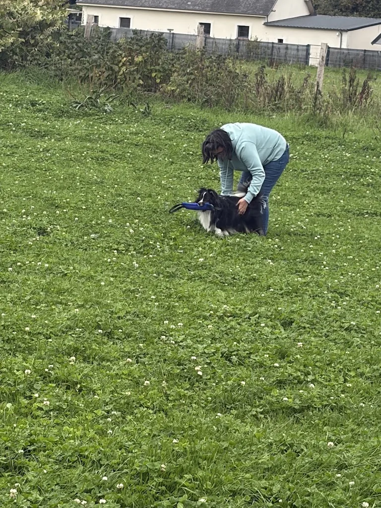 Dorian Penne éducation canine - photo 3