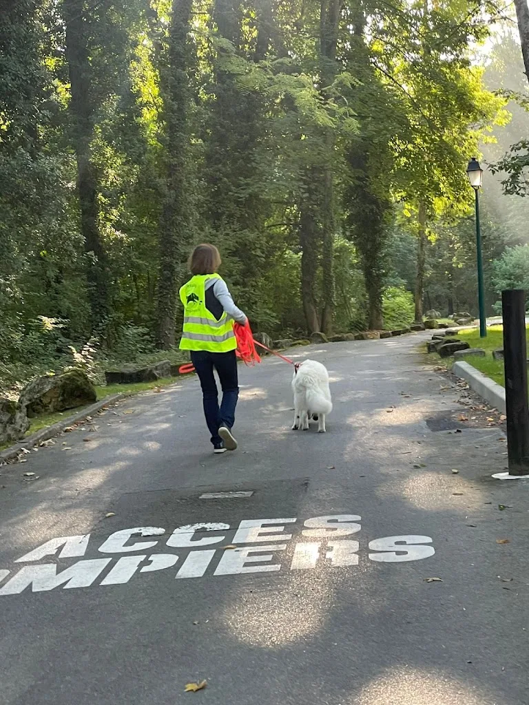 Morgane Veillot - Bien dans ses Pattes - Coach comportement et sports canins - photo 1
