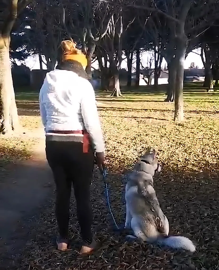 DOG KEEPER - Éducateur Canin à Nîmes - photo 1