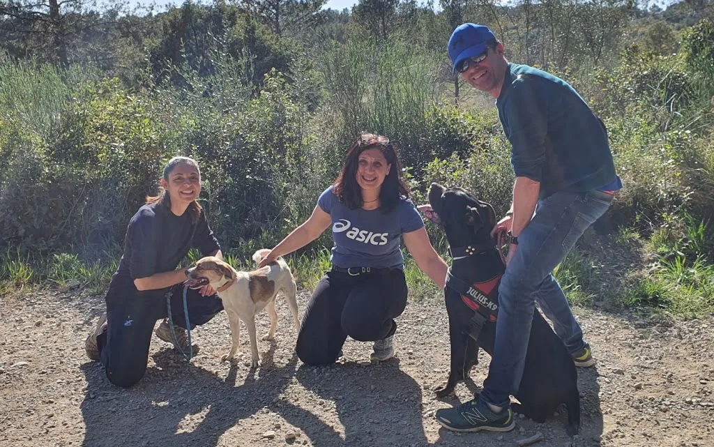 DOG KEEPER - Éducateur Canin à Nîmes - photo 2