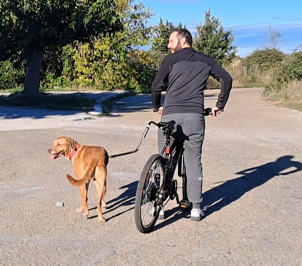 DOG KEEPER - Éducateur Canin à Nîmes - photo 3