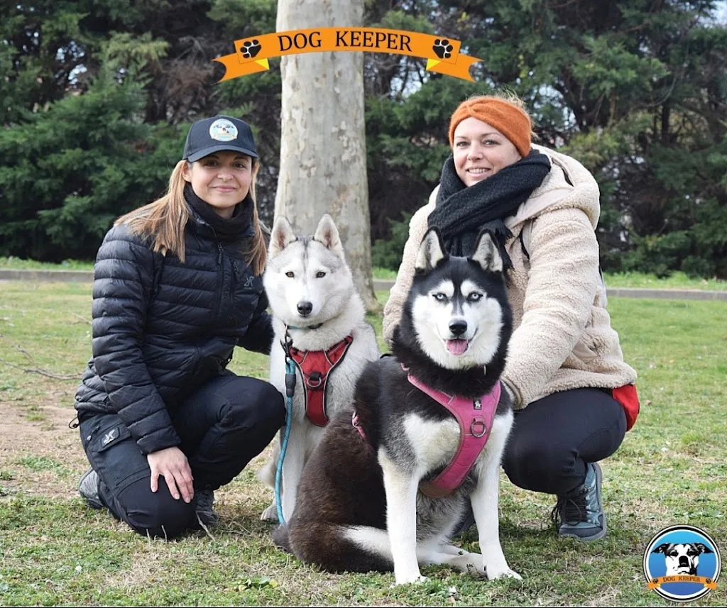 DOG KEEPER - Éducateur Canin à Nîmes - photo 4