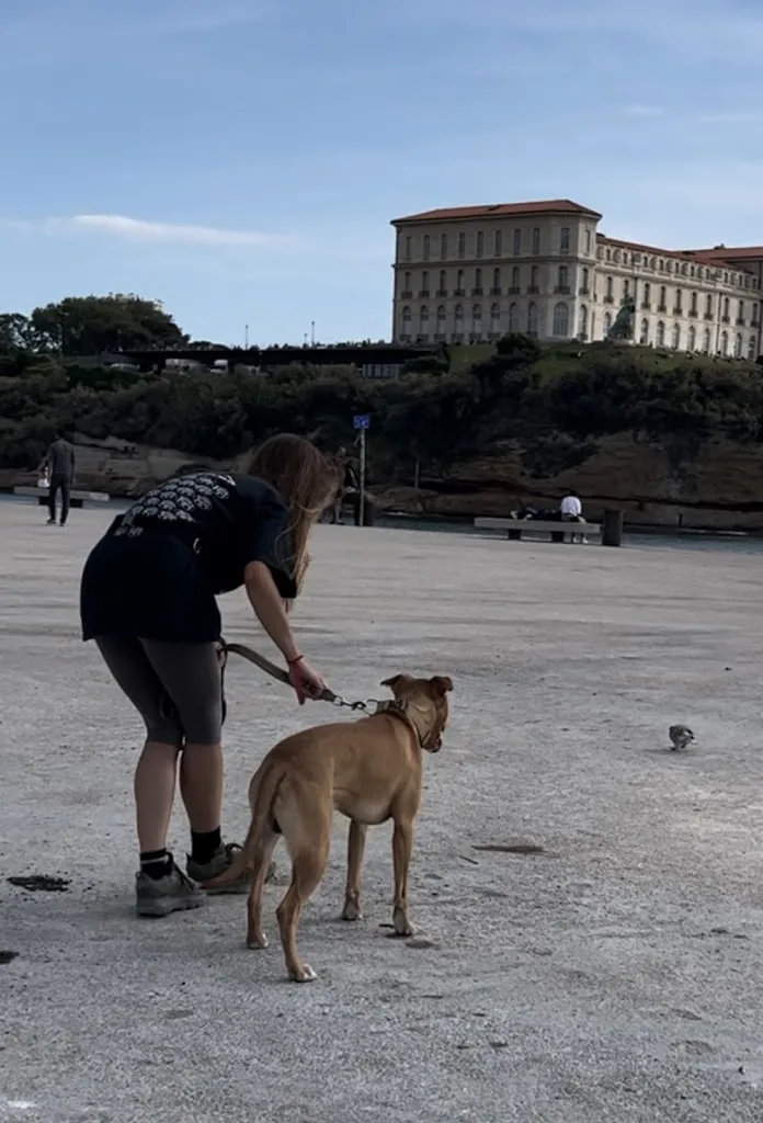ORA - Éducatrice Comportementaliste Canine. - photo 1