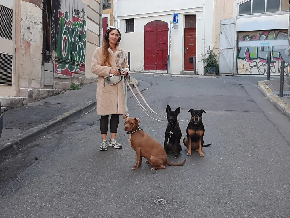 ORA - Éducatrice Comportementaliste Canine. - photo 2
