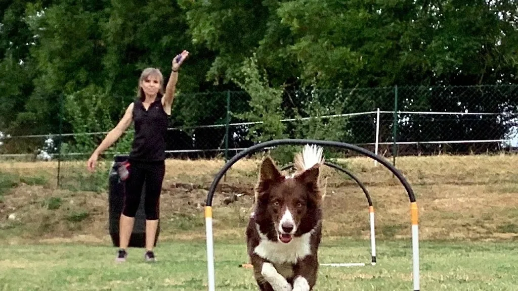 AGI PLUS Coaching - photo 3