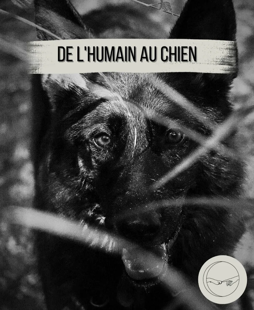 De l'humain au Chien - photo 2