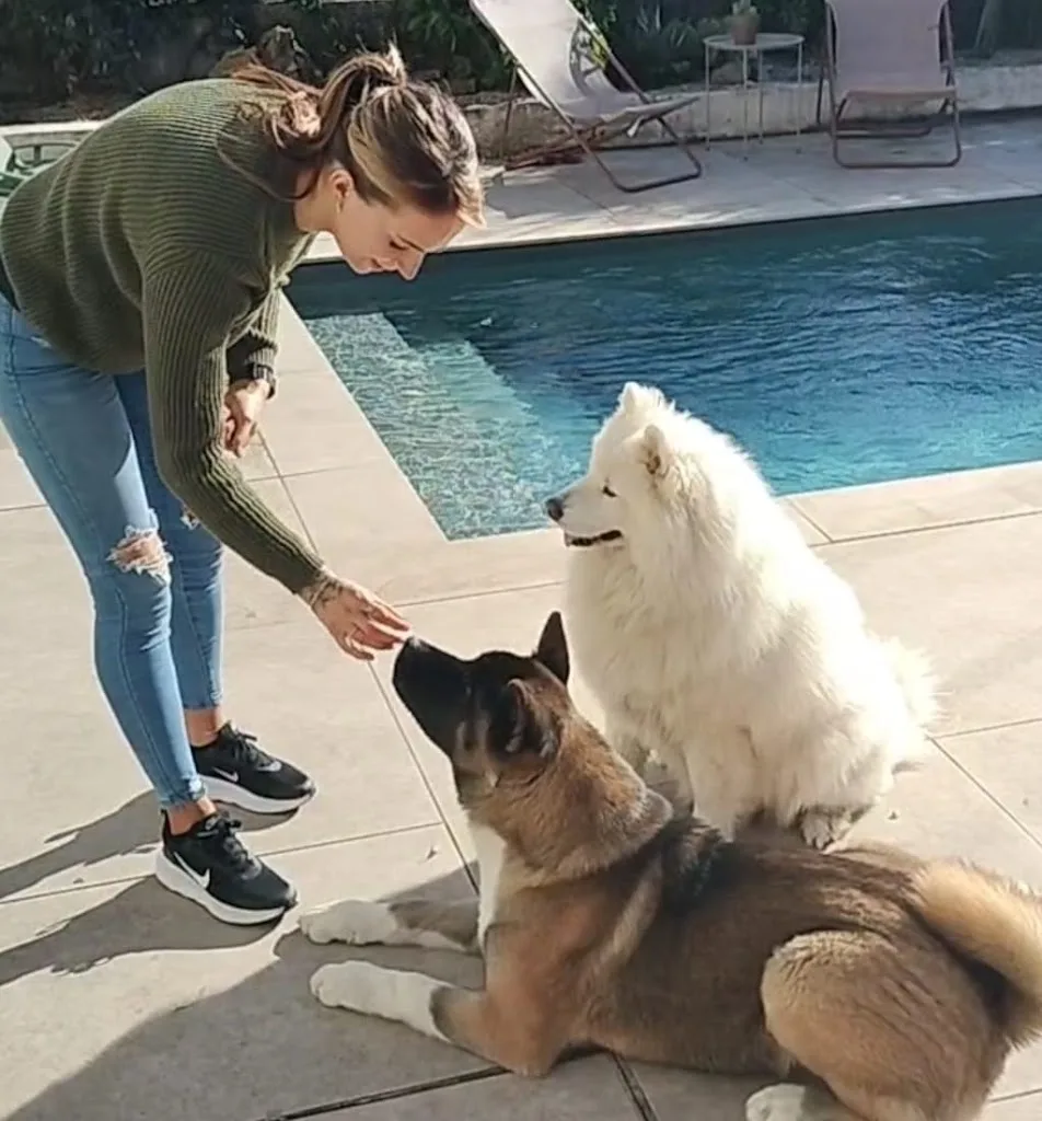 De l'humain au Chien - photo 4