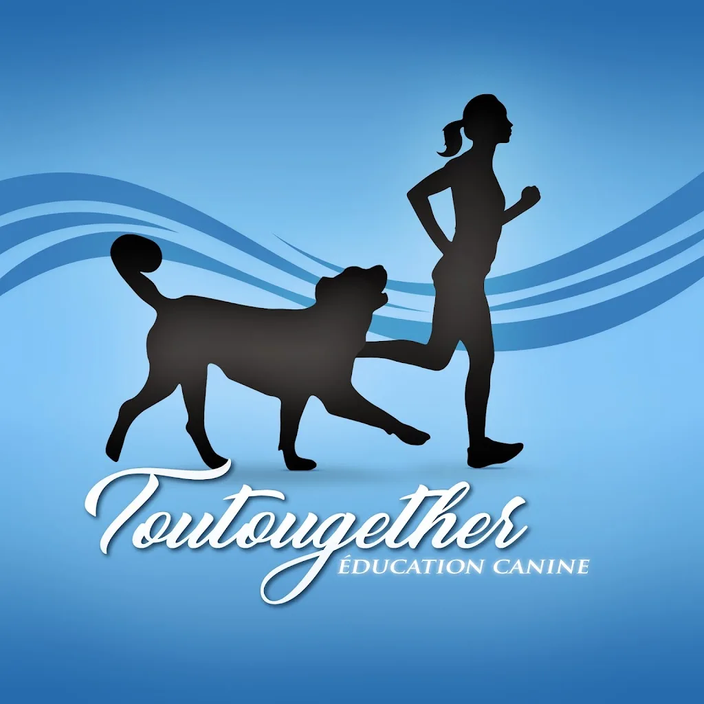 Toutougether | Education Canine | Luçon et alentours - photo 1