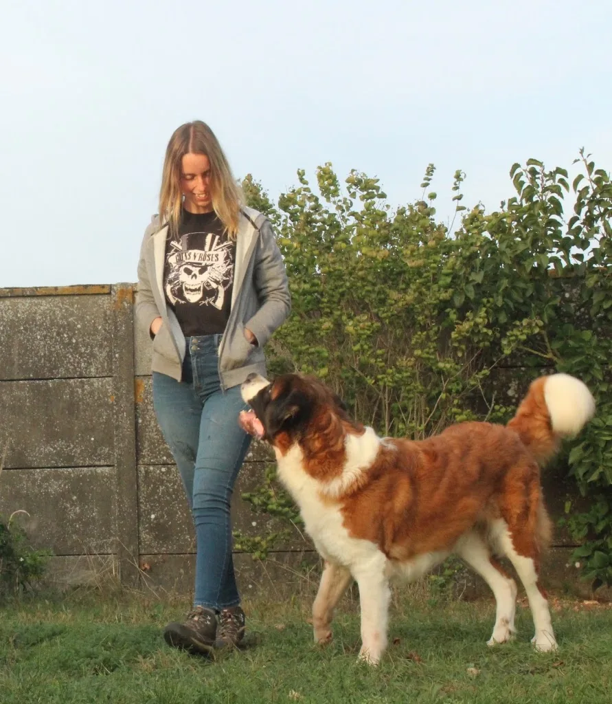 Toutougether | Education Canine | Luçon et alentours - photo 4