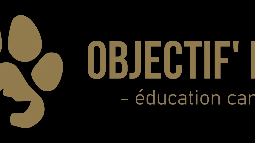 Objectif'Educ / Riaud Nicolas - photo 3