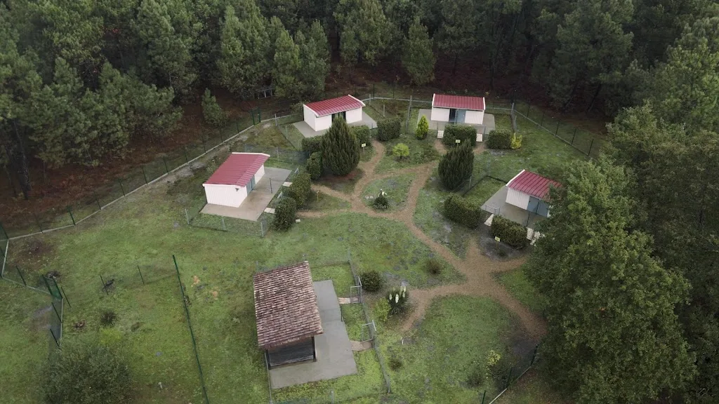 La Pignada des poilus - photo 3