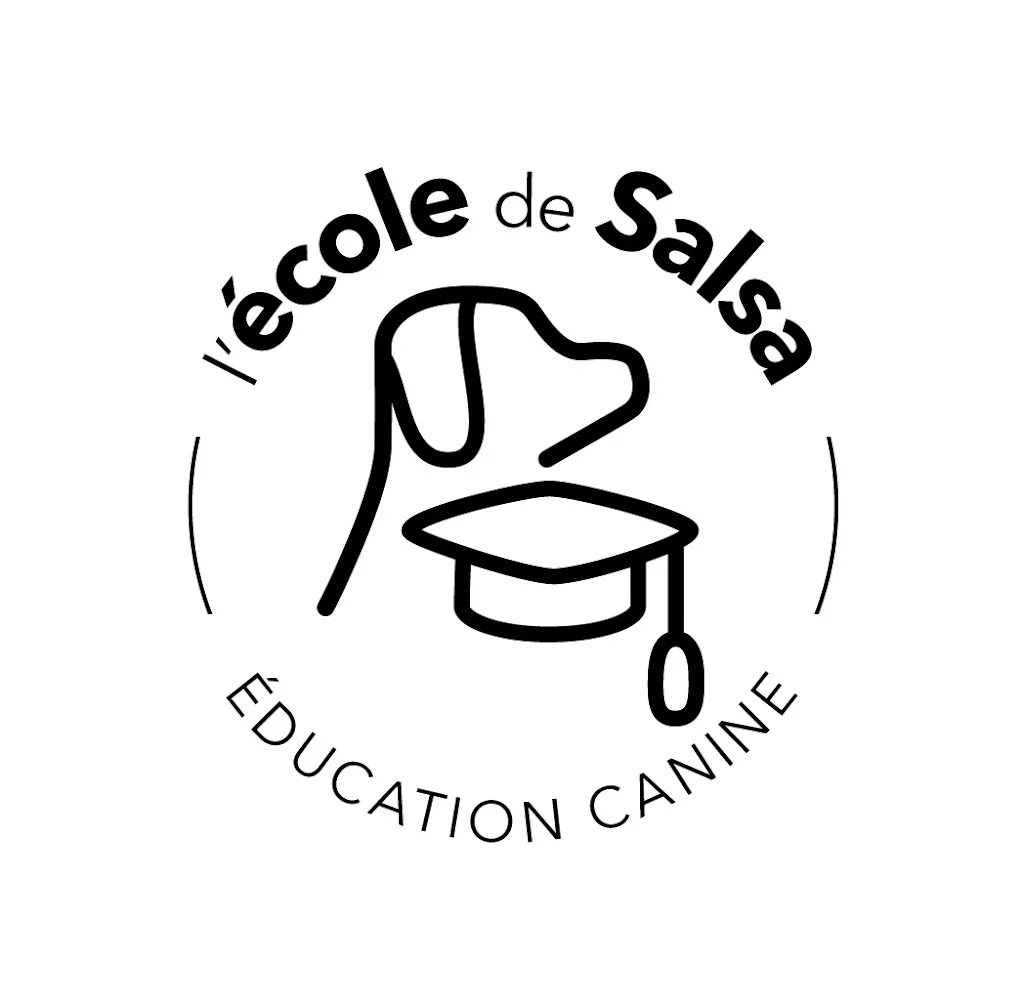 L'Ecole de Salsa - photo 1
