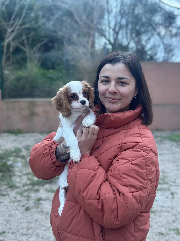WOOFZEN - ÉDUCATEUR CANIN - photo 2
