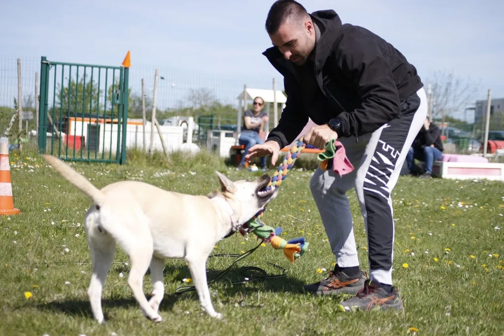 Paw'Adventure - éducateur canin - photo 3