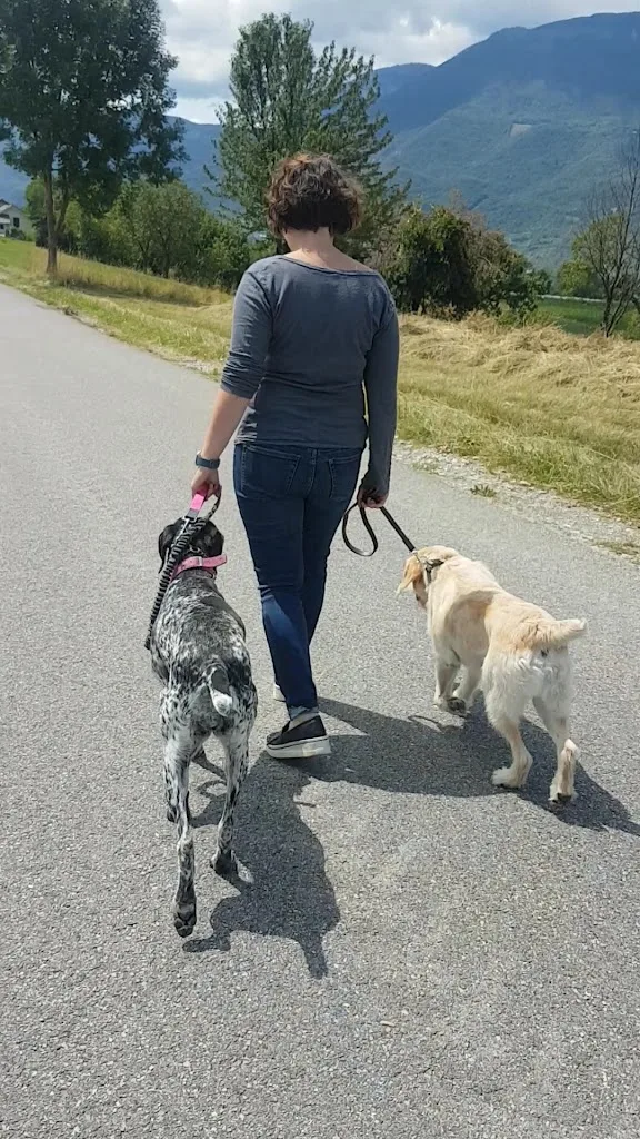 Patte de Loù éducateur canin à DOMICILE (Rhône-Alpes- Suisse) - photo 2