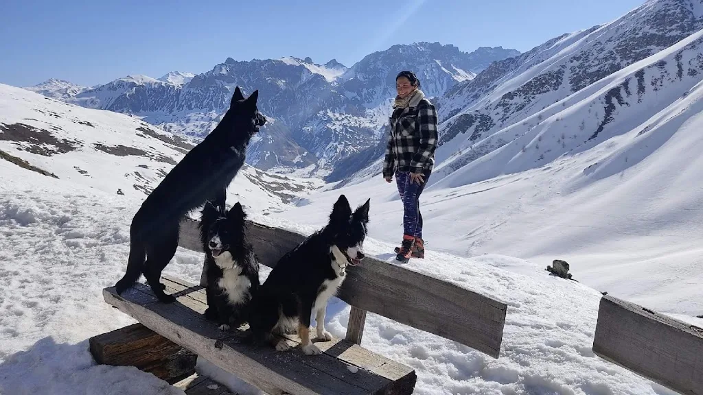 Patte de Loù éducateur canin à DOMICILE (Rhône-Alpes- Suisse) - photo 4