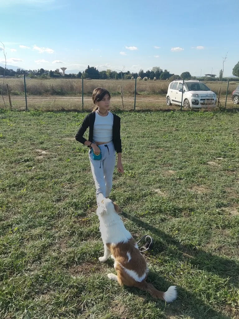Club Canin Pyrénées 66 - photo 1