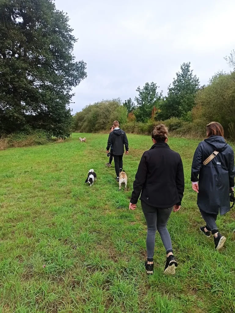 Flo and Co - Ton éduc'comportementaliste canin - photo 1
