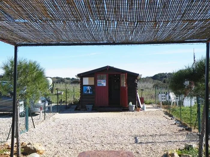 L'école des 4 pattes - photo 2
