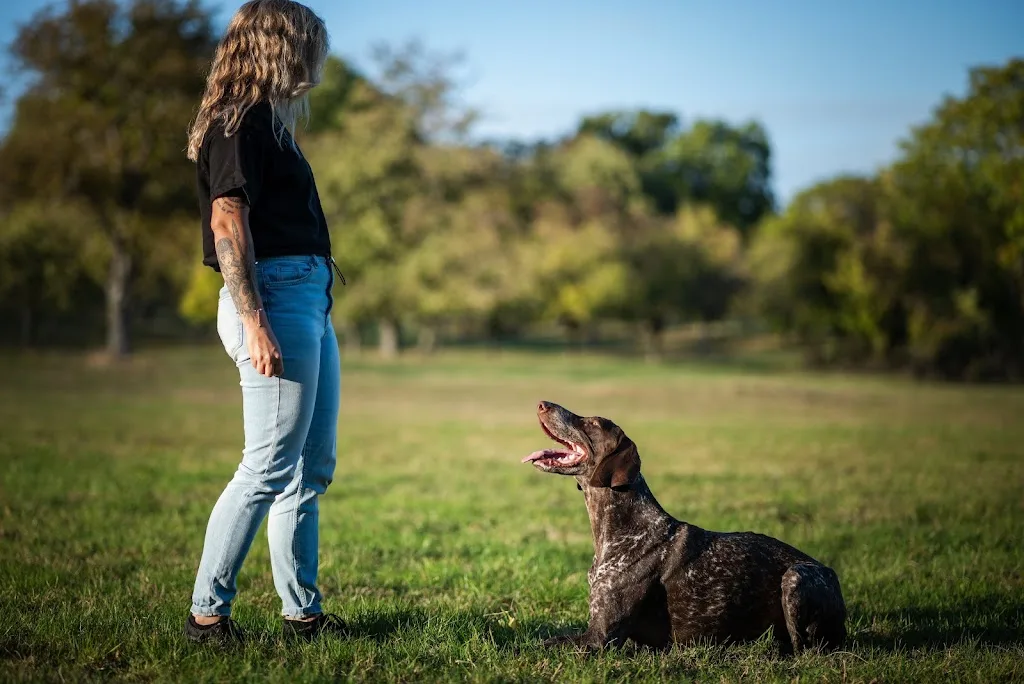 La truffe en éveil | Educateur canin - Comportementaliste canin - Molsheim - photo 5