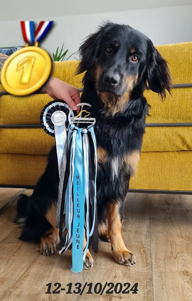 Happy Dog Éducation - photo 2